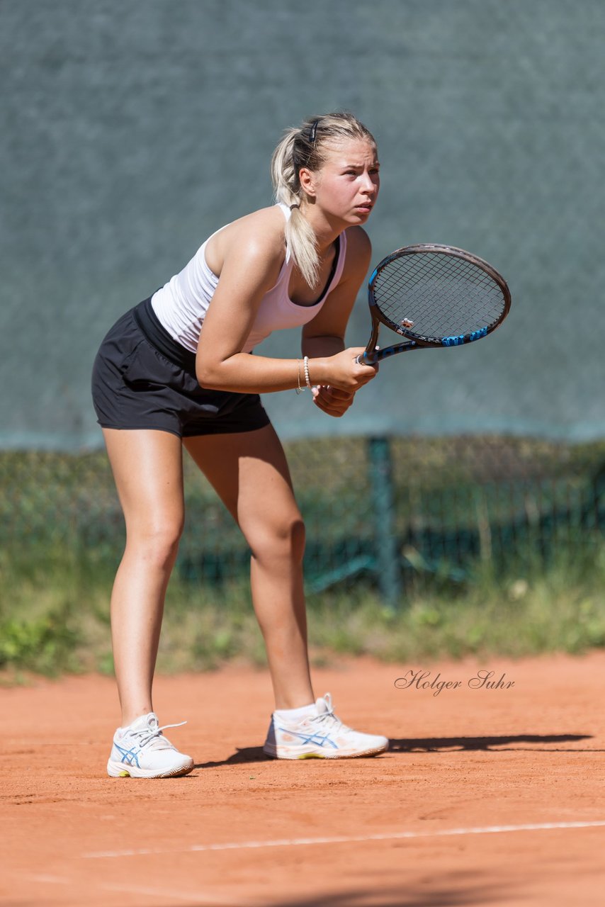 Bild 167 - Klippeldon